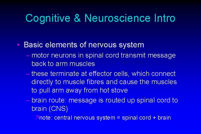 Cognitive & Neuroscience Intro • Basic elements of nervous system – motor neurons in