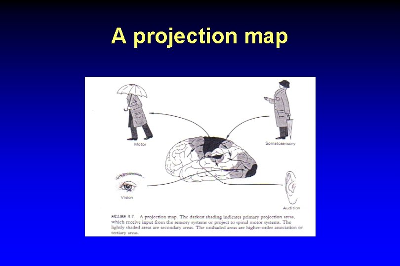 A projection map 
