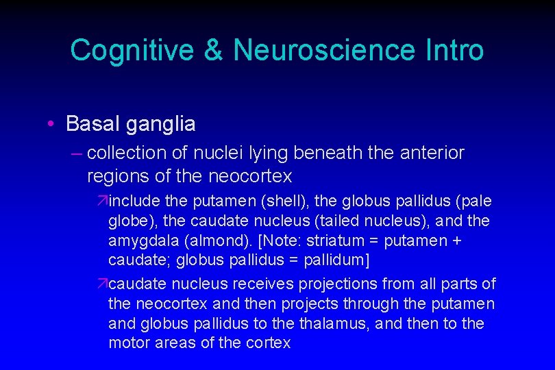 Cognitive & Neuroscience Intro • Basal ganglia – collection of nuclei lying beneath the