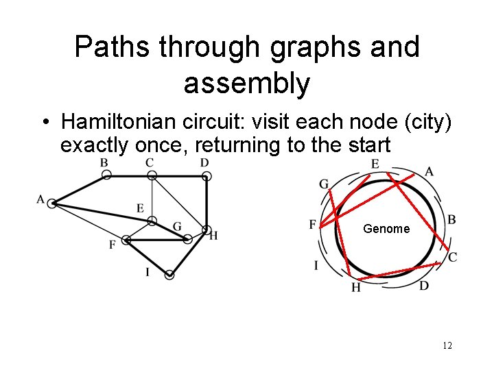 Paths through graphs and assembly • Hamiltonian circuit: visit each node (city) exactly once,