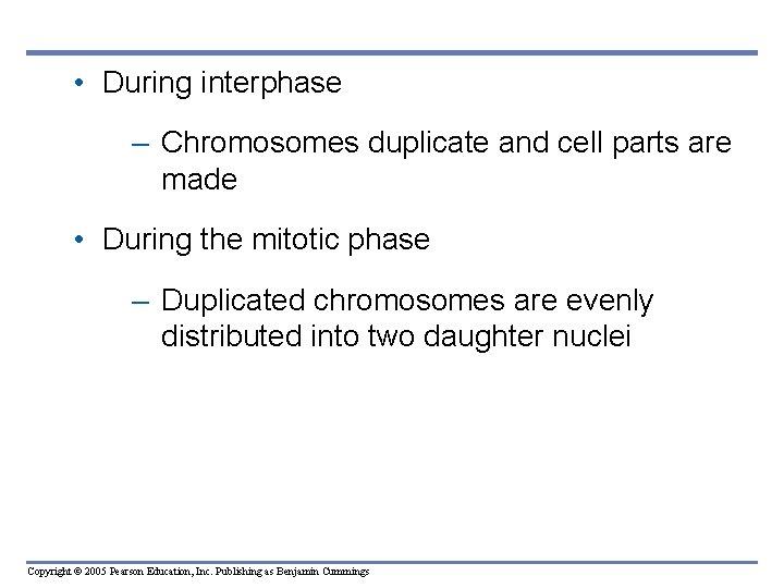  • During interphase – Chromosomes duplicate and cell parts are made • During