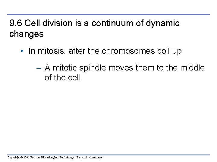 9. 6 Cell division is a continuum of dynamic changes • In mitosis, after