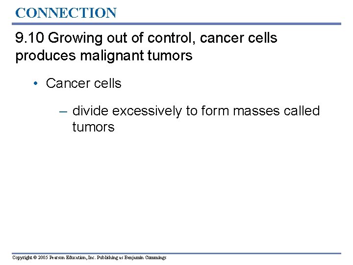 CONNECTION 9. 10 Growing out of control, cancer cells produces malignant tumors • Cancer