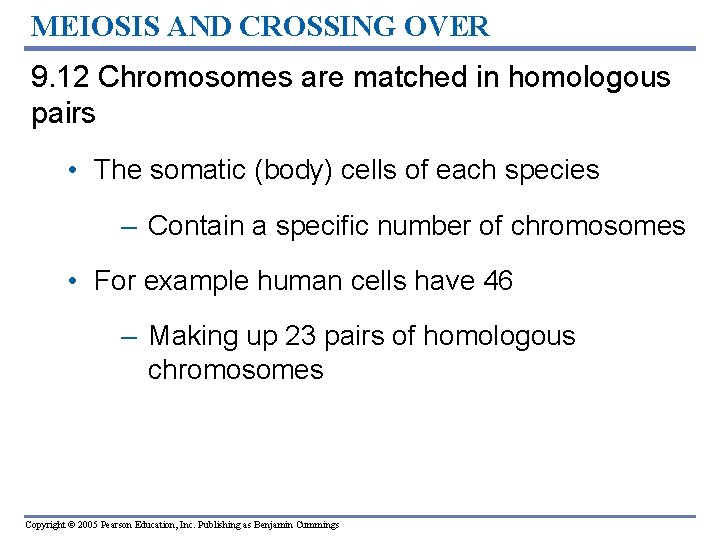 MEIOSIS AND CROSSING OVER 9. 12 Chromosomes are matched in homologous pairs • The