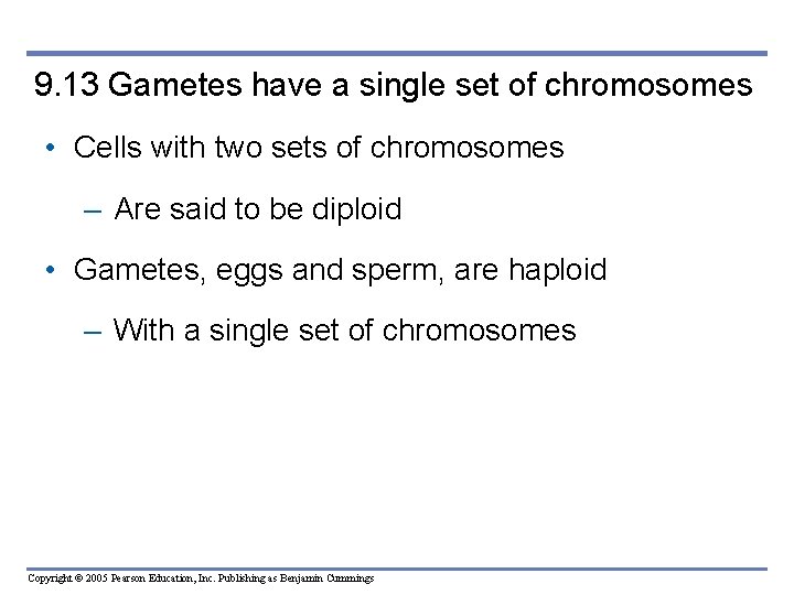 9. 13 Gametes have a single set of chromosomes • Cells with two sets