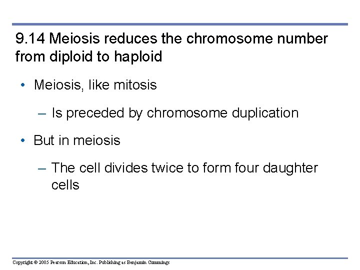 9. 14 Meiosis reduces the chromosome number from diploid to haploid • Meiosis, like