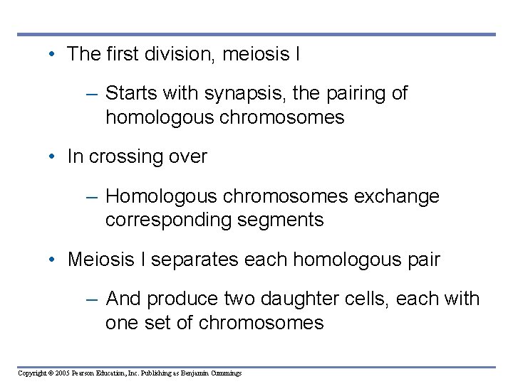  • The first division, meiosis I – Starts with synapsis, the pairing of