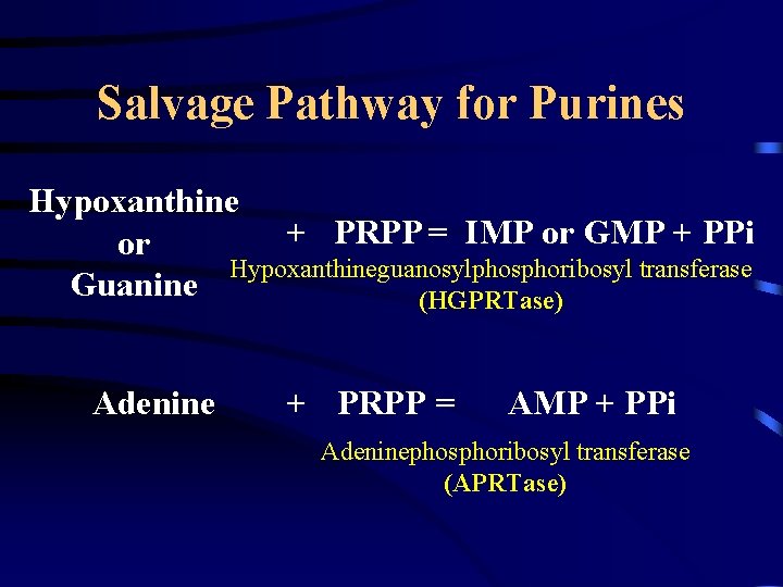 Salvage Pathway for Purines Hypoxanthine + PRPP = IMP or GMP + PPi or