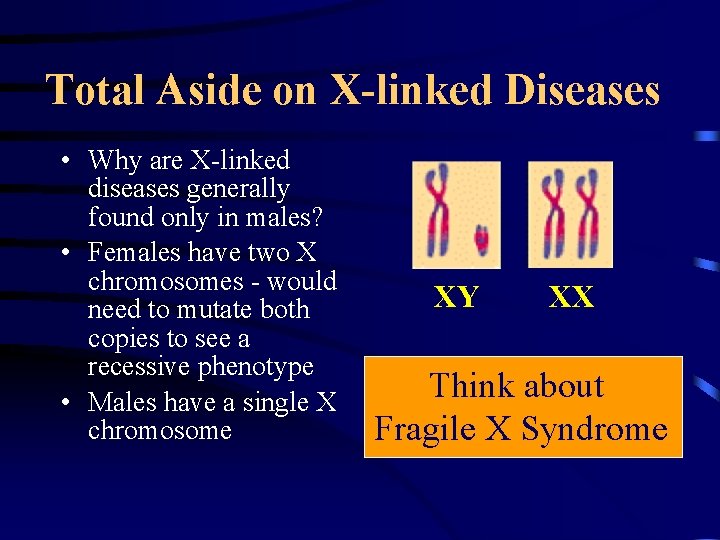 Total Aside on X-linked Diseases • Why are X-linked diseases generally found only in