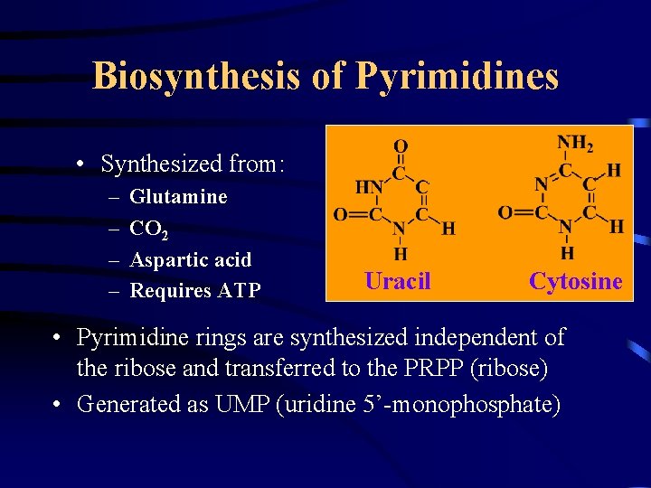 Biosynthesis of Pyrimidines • Synthesized from: – – Glutamine CO 2 Aspartic acid Requires