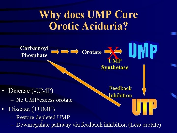 Why does UMP Cure Orotic Aciduria? Carbamoyl Phosphate • Disease (-UMP) – No UMP/excess