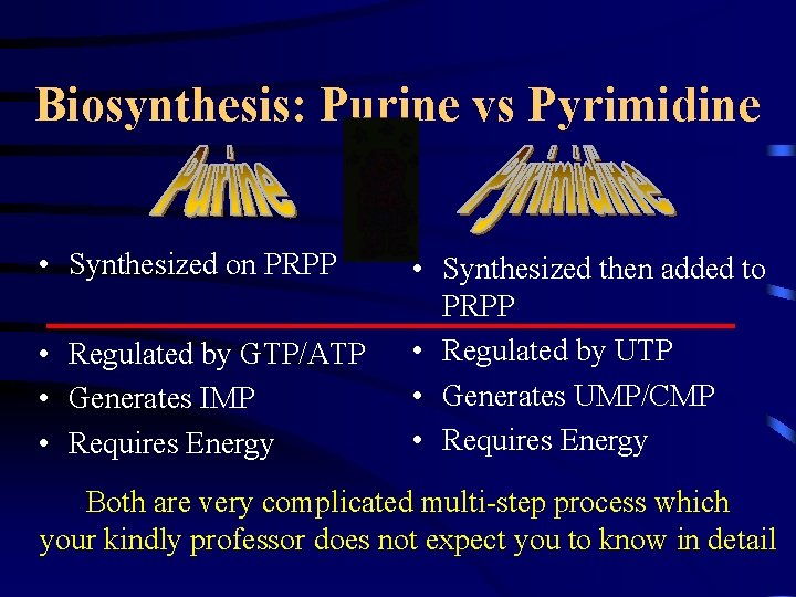Biosynthesis: Purine vs Pyrimidine • Synthesized on PRPP • Regulated by GTP/ATP • Generates
