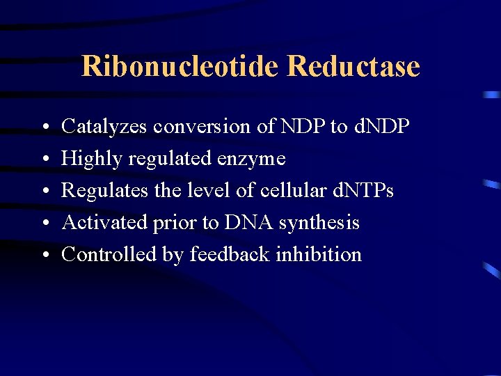 Ribonucleotide Reductase • • • Catalyzes conversion of NDP to d. NDP Highly regulated
