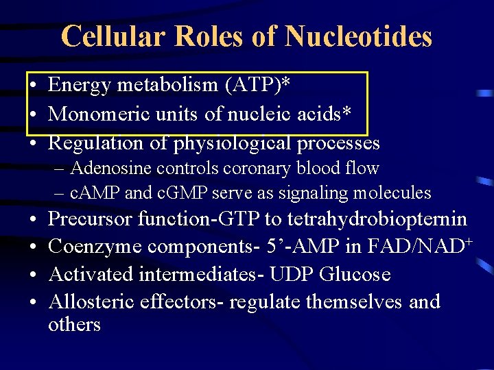 Cellular Roles of Nucleotides • Energy metabolism (ATP)* • Monomeric units of nucleic acids*