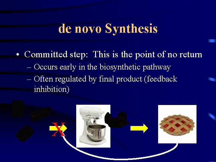 de novo Synthesis • Committed step: This is the point of no return –