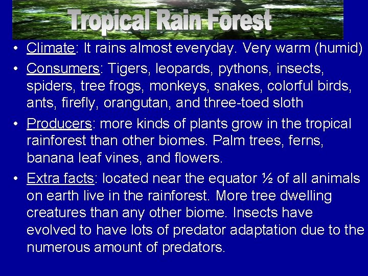  • Climate: It rains almost everyday. Very warm (humid) Tropical Rainforests • Consumers: