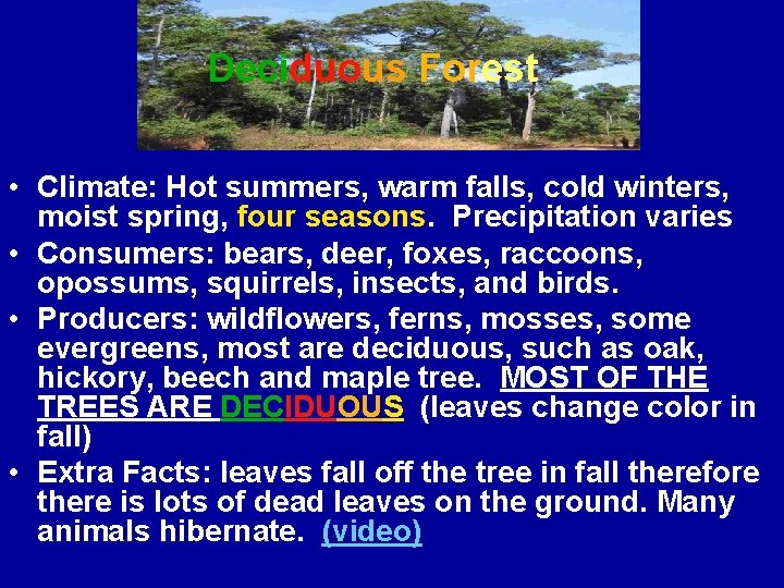 Deciduous Forest • Climate: Hot summers, warm falls, cold winters, moist spring, four seasons.