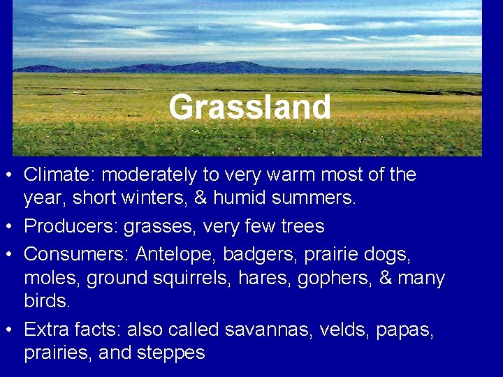 Grassland • Climate: moderately to very warm most of the year, short winters, &