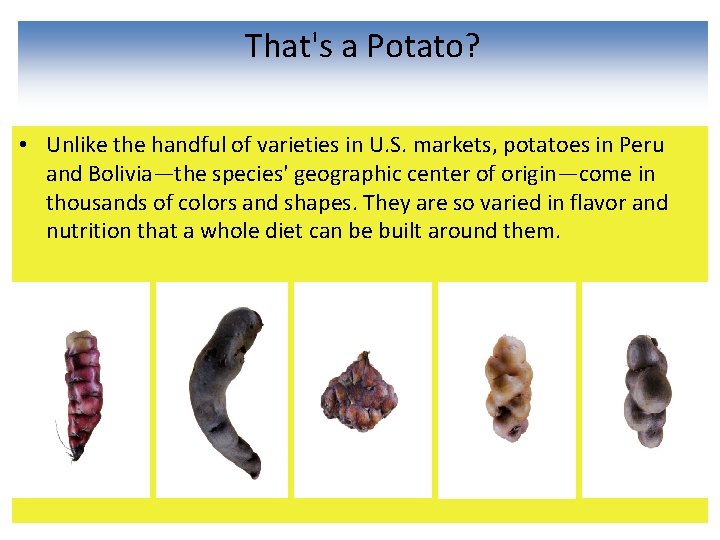 That's a Potato? • Unlike the handful of varieties in U. S. markets, potatoes