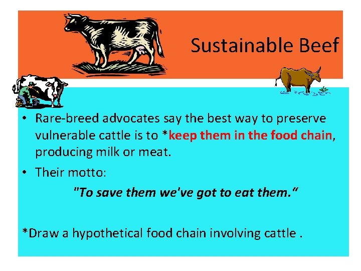 Sustainable Beef • Rare-breed advocates say the best way to preserve vulnerable cattle is