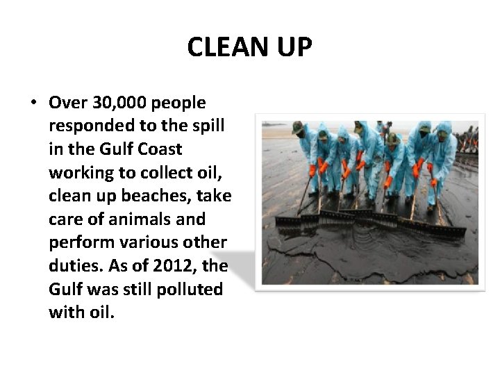 CLEAN UP • Over 30, 000 people responded to the spill in the Gulf