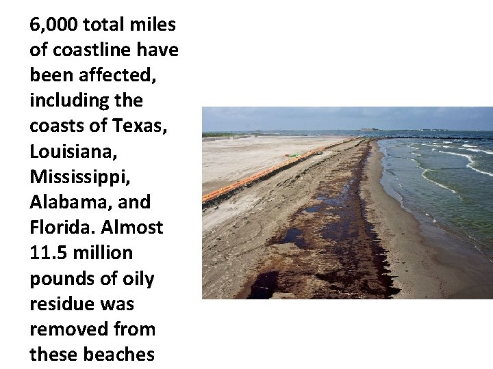 6, 000 total miles of coastline have been affected, including the coasts of Texas,