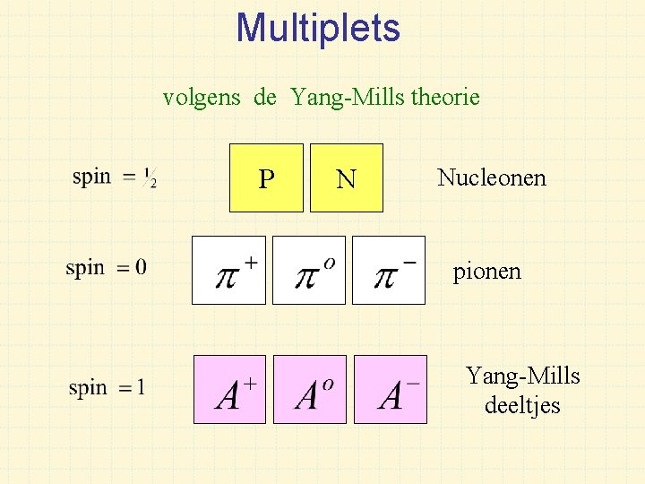 Multiplets volgens de Yang-Mills theorie P N Nucleonen pionen Yang-Mills deeltjes 