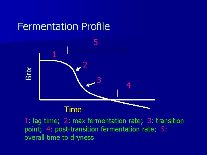 Fermentation Profile 5 1 Brix 2 3 4 Time 1: lag time; 2: max