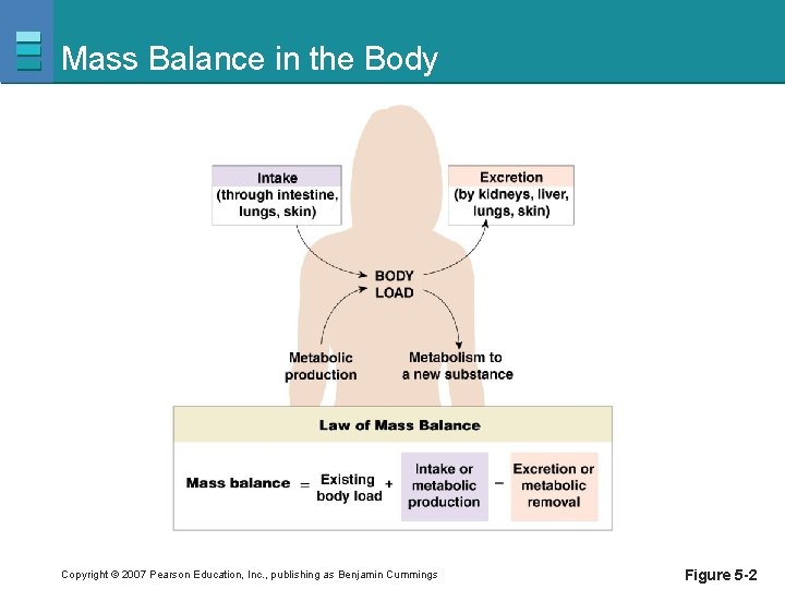 Mass Balance in the Body Copyright © 2007 Pearson Education, Inc. , publishing as