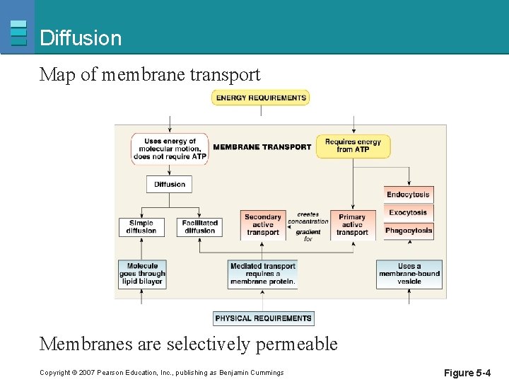 Diffusion Map of membrane transport Membranes are selectively permeable Copyright © 2007 Pearson Education,