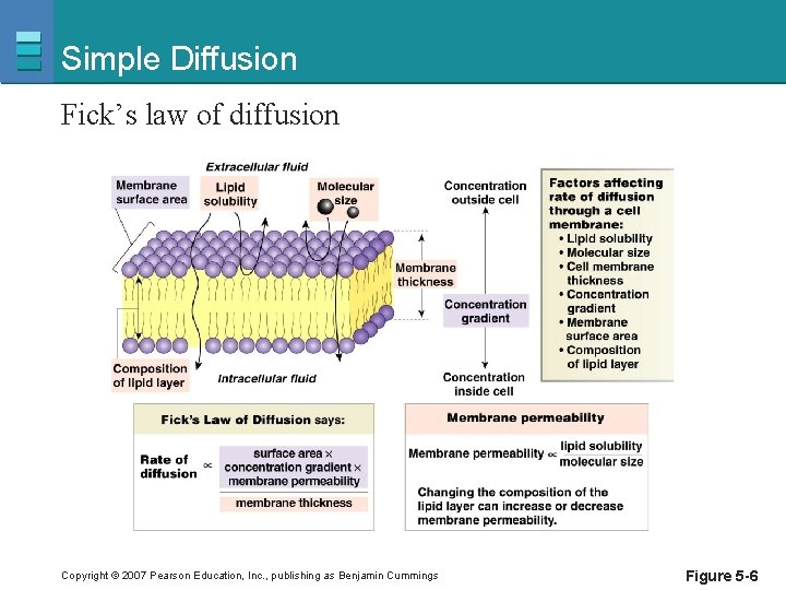 Simple Diffusion Fick’s law of diffusion Copyright © 2007 Pearson Education, Inc. , publishing