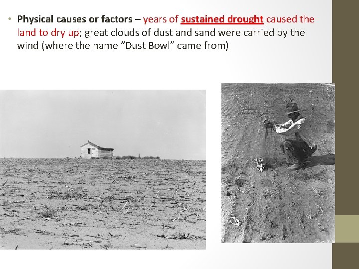  • Physical causes or factors – years of sustained drought caused the land