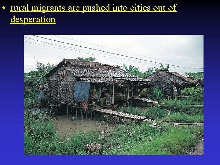  • rural migrants are pushed into cities out of desperation 