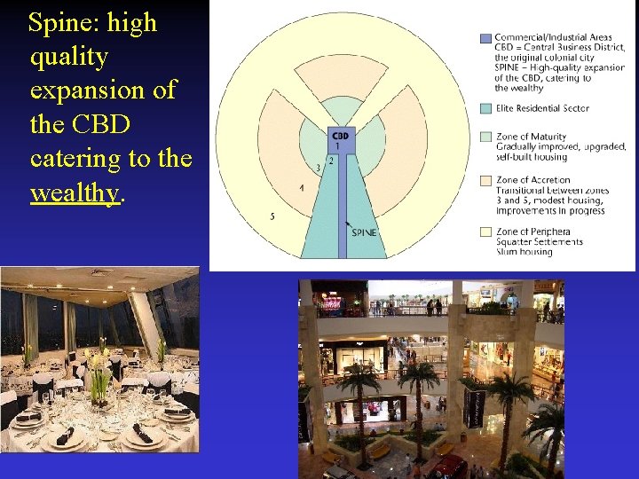  Spine: high quality expansion of the CBD catering to the wealthy. 