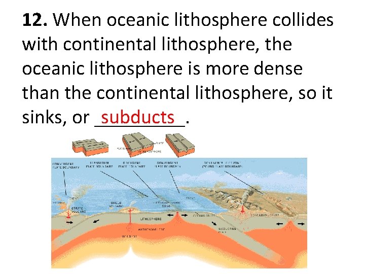 12. When oceanic lithosphere collides with continental lithosphere, the oceanic lithosphere is more dense
