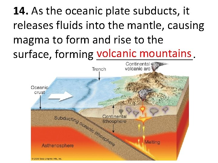 14. As the oceanic plate subducts, it releases fluids into the mantle, causing magma
