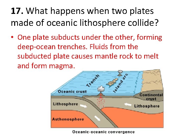17. What happens when two plates made of oceanic lithosphere collide? • One plate