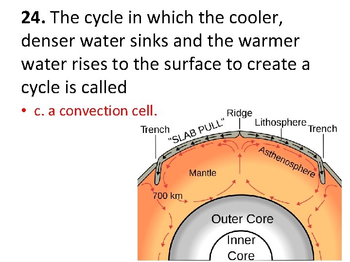 24. The cycle in which the cooler, denser water sinks and the warmer water