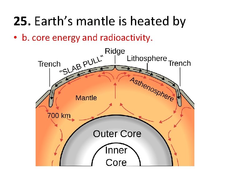 25. Earth’s mantle is heated by • b. core energy and radioactivity. 