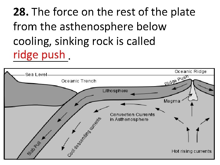 28. The force on the rest of the plate from the asthenosphere below cooling,