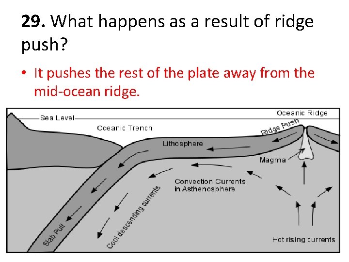 29. What happens as a result of ridge push? • It pushes the rest