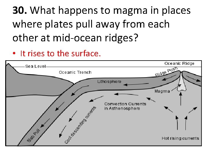 30. What happens to magma in places where plates pull away from each other