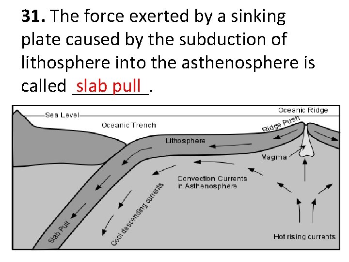 31. The force exerted by a sinking plate caused by the subduction of lithosphere