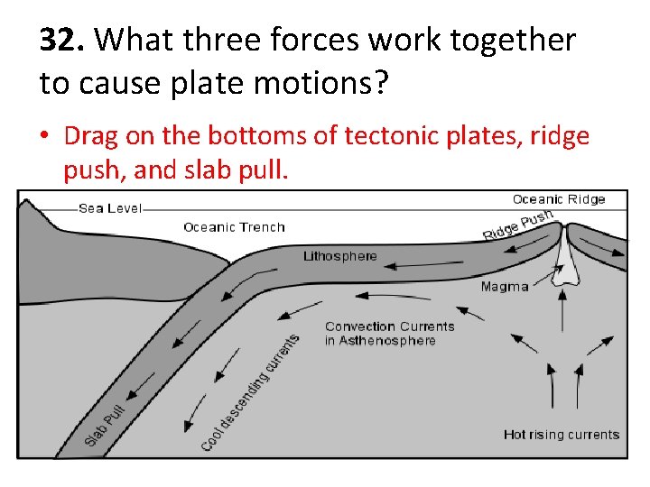 32. What three forces work together to cause plate motions? • Drag on the