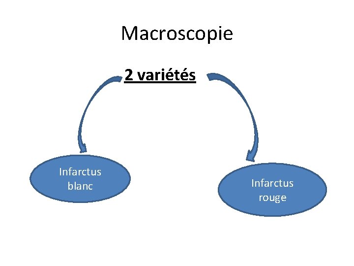 Macroscopie 2 variétés Infarctus blanc Infarctus rouge 