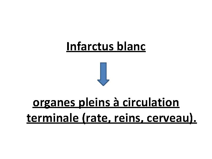 Infarctus blanc organes pleins à circulation terminale (rate, reins, cerveau). 