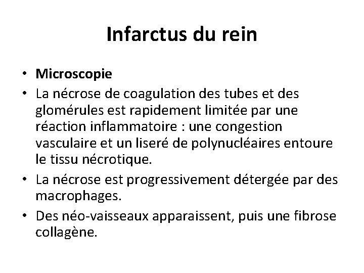 Infarctus du rein • Microscopie • La nécrose de coagulation des tubes et des