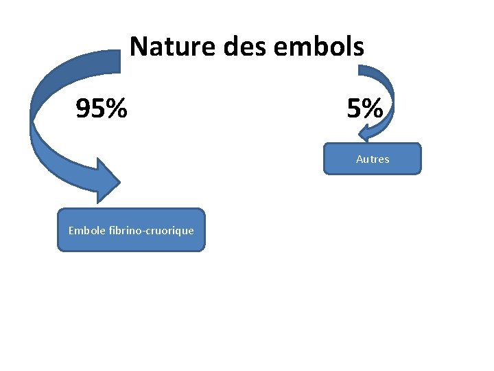 Nature des embols • 95% 5% Autres Embole fibrino-cruorique 