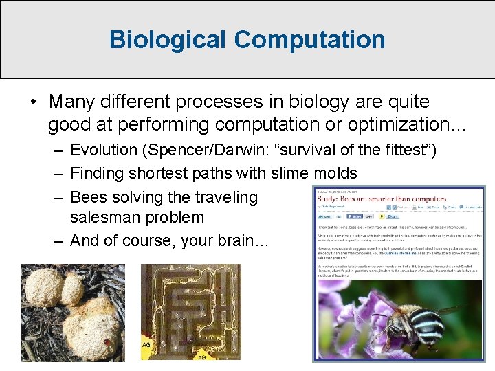 Biological Computation • Many different processes in biology are quite good at performing computation