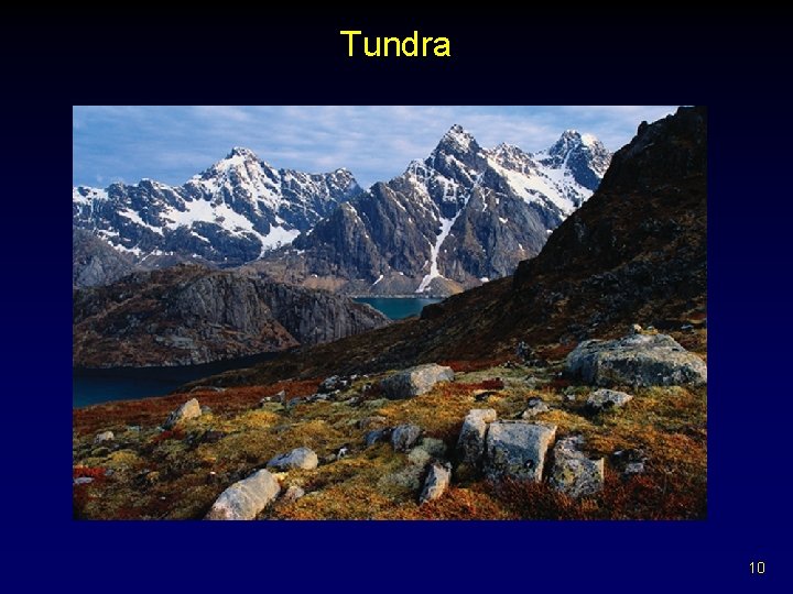 Tundra 10 